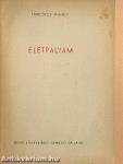 Életpályám