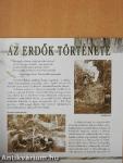 Erdők