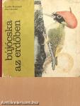 Bújócska az erdőben