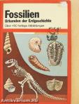 Fossilien