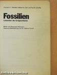 Fossilien