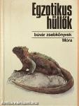 Egzotikus hüllők
