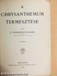 A chrysanthemum termesztése