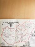 A magyar bor
