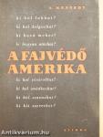 A fajvédő Amerika