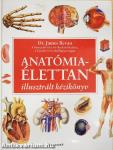 Anatómia - Élettan