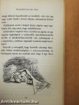 Paddington itt és most