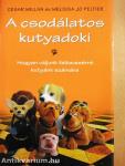 A csodálatos kutyadoki