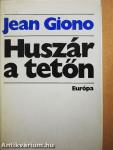 Huszár a tetőn