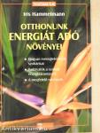 Otthonunk energiát adó növényei