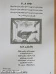 English is fun - Workbook V.