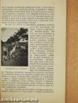 Francia kalandozás 1931