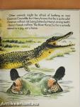 Animal Tales