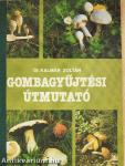 Gombagyűjtési útmutató