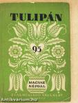 Tulipán