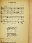 Tulipán