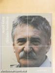 (fél)édes hendikep
