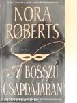 A bosszú csapdájában