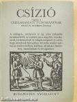 Csízió