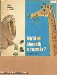 Miről álmodik a rozmár?