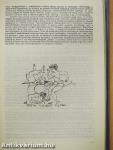 Duna