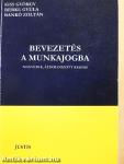 Bevezetés a munkajogba