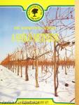 A szőlő metszése