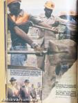 IPM 1986. (nem teljes évfolyam)