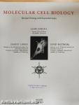 Molecular Cell Biology