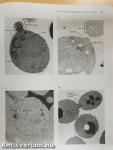 Molecular Cell Biology