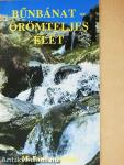 Bűnbánat - örömteljes élet