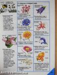 Képes Usborne enciklopédia