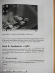 SUSE Linux 10.0 OSS - sofort starten! - DVD-vel