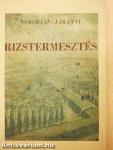 Rizstermesztés
