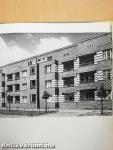 Bruno Taut
