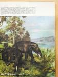 Élet az ember előtt