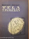 Tél a tavaszban