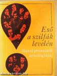 Eső a szilfák levelén