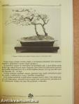 Bonsai