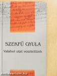 "Valahol utat vesztettünk"