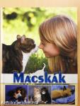 Macskák