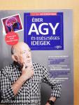 Éber agy és egészséges idegek