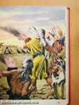 Képes Biblia