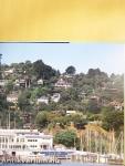 Marin