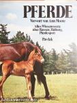 Pferde