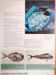 Fish and Seafood