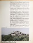 Cites antiques d'Algerie