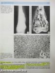 Pathologia