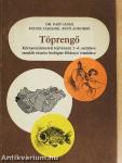 Töprengő