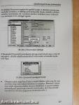 Excel for Windows 5.0